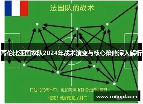 哥伦比亚国家队2024年战术演变与核心策略深入解析