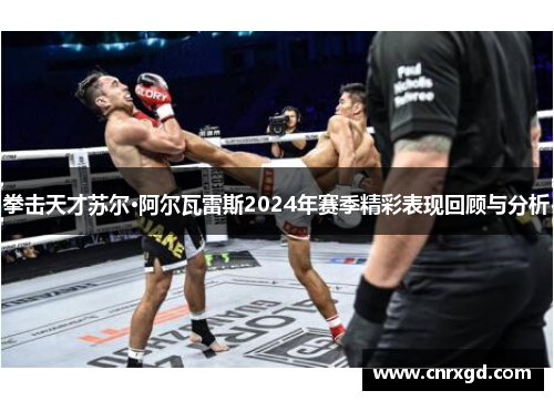 拳击天才苏尔·阿尔瓦雷斯2024年赛季精彩表现回顾与分析