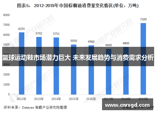 篮球运动鞋市场潜力巨大 未来发展趋势与消费需求分析